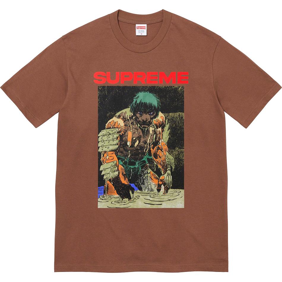 Supreme Ronin Tee T Shirts Brown | PH240ZG