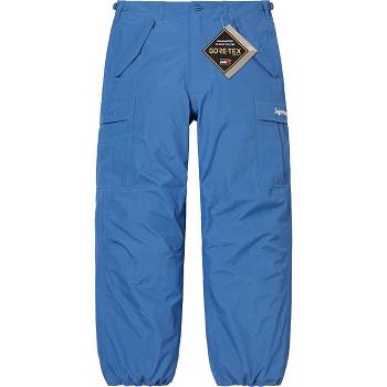 Supreme GORE-TEX PACLITE® Cargo Pant Pants Blue | PH411OR